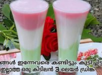 3 ലെയറിൽ ഒരു കിടിലൻ മാജിക് ഡ്രിങ്ക് ഉണ്ടാക്കി നോക്കൂ