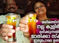 ശരീരത്തിന് നല്ല കുളിർമ്മ ലഭിക്കുന്നതിന് ജാതിക്കാ സ്ക്വാഷ് ഇതുപോലെ ഉണ്ടാക്കൂ
