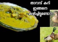 ഈസ്റ്റർ സ്പെഷ്യൽ താറാവ് കുറുമ കുട്ടനാടൻ പാചകം