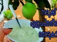 2മിനിറ്റിൽ വിഷു സ്‌പെഷ്യൽ തൊടുകറി പച്ചകടുമാങ്ങാ