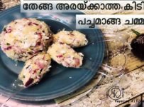 തേങ്ങാ അരക്കാതെ ഒരു കിടുലൻ പച്ചമാങ്ങ ചമ്മന്തി വെറും 2 മിനിറ്റിൽ ഉണ്ടാക്കിയാലോ? ഈ ചമ്മന്തി ഉണ്ടെങ്കിൽ വേറൊന്നും വേണ്ട ചോറുണ്ണാൻ