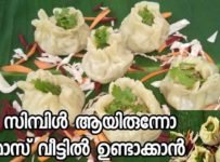 നിങ്ങൾ ചിക്കൻ മോമോസ് കഴിച്ചിട്ടുണ്ടോ..? ഇത്ര എളുപ്പം ആയിരുന്നോ