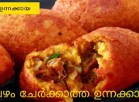 ഇങ്ങനെ ഒരു ഉന്നക്കായ നിങ്ങൾ കഴിച്ചിട്ടുണ്ടോ? ബീഫ് കൊണ്ട് ഉണ്ടാക്കിയ ഉന്നക്കായയാണ് ..നേന്ത്രപ്പഴം ഒന്നും ഇല്ലാത്ത എളുപ്പത്തിൽ തയ്യാറാക്കാൻ പറ്റിയ ഒരു ഉന്നക്കായ…