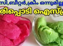അരിപ്പൊടി കൊണ്ട് കിടിലൻ ഐസ്ക്രീം.