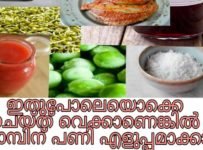 ഇതു പോലെയൊക്കെ ചെയ്ത് വെക്കാണെങ്കിൽ നോബിന് പണി എളുപ്പമാക്കാം