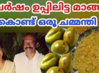 2 വർഷം ഉപ്പിലിട്ട മാങ്ങാ കൊണ്ട് ഒരു മാങ്ങാ ചമ്മന്തി.