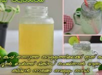 3-4 മാസം വരെ കേടാകാതെ ഇരിക്കുന്ന Lemon Squash ഉണ്ടാക്കിയാൽ, നിമിഷ നേരം കൊണ്ട് നാരങ്ങ വെള്ളം തയ്യാർ