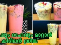 2 വ്യത്യസ്ത രുചിയിൽ എളുപ്പത്തിൽ ഉണ്ടാക്കിയെടുക്കാൻ പറ്റിയ ജ്യൂസ്