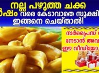 നല്ല പഴുത്ത ചക്ക ഒരു വർഷം വരെ കേടാവാതെ സൂക്ഷിക്കാം ഇങ്ങനെ ചെയ്‌താൽ