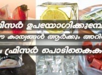 ഫ്രീസർ ഉപയോഗിക്കുമ്പോൾ ഈ കാര്യങ്ങൾ ആർക്കും അറിയില്ല. ചില ഫ്രീസർ പൊടികൈകൾ