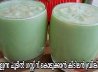 ആരും ട്രൈ ചെയ്യാത്ത ഒരു സിമ്പിൾ ആപ്പിൾ ഡ്രിങ്ക്
