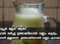 ഒരു അടിപൊളി ചിരങ്ങ ജ്യൂസ് ഉണ്ടാക്കി നോക്കൂ …