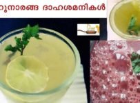 ചെറുനാരങ്ങ ഉണ്ടോ? ഈ ഈസി ലെമണെഡുകൾ ഉണ്ടാക്കാം