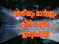 മീൻ ക്ലീൻ ചെയ്യാൻ അറിയാത്തവർക്കായി