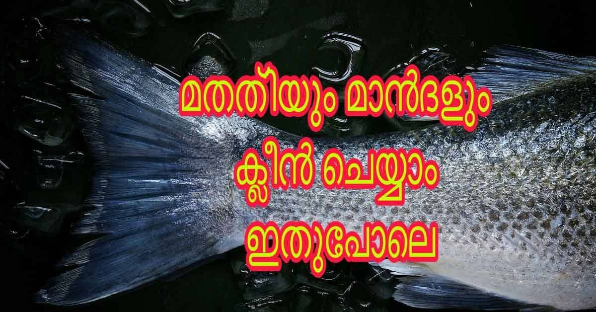 മീൻ ക്ലീൻ ചെയ്യാൻ അറിയാത്തവർക്കായി