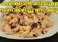 പഴം കഴിക്കാൻ മടിയുള്ള കുട്ടികൾക്കും ഇഷ്ടമില്ലാത്തവർക്കും ഇങ്ങനെ ഉണ്ടാക്കി കഴിച്ചാൽ ഉറപ്പായും ഇഷ്ടപ്പെടും.വളരെ പെട്ടെന്ന് ഉണ്ടാക്കി കഴിക്കാവുന്നതാണ്