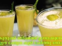 ഇനി ഇതുപോലെ പുതിയ രുചിയിൽ കുലുക്കി സർബത്ത് ഒന്ന് ഉണ്ടാക്കി നോക്കൂ. ഉണ്ടാക്കുമ്പോൾ ഈ ചേരുവ കൂടി ചേർത്തു നോക്കൂ തീർച്ചയായും ഇഷ്ടപെടും.