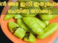 മീൻഅട ഇതുപോലെ ഒന്ന് ട്രൈ ചെയ്തു നോക്കൂ