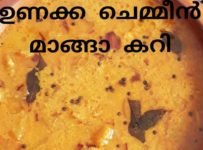 നാടൻ ഉണക്ക ചെമ്മീൻ മാങ്ങാ കറി ഉണ്ടാക്കി നോക്കൂ