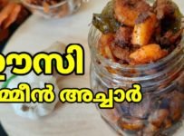 ഈസി ആയി കുറഞ്ഞ ചേരുവകൾ കൊണ്ട് കൊതിയൂറും ചെമ്മീൻ അച്ചാർ ..വളരെ പെട്ടെന്ന് തന്നെ ഉണ്ടാക്കി എടുക്കാം ഈ അച്ചാർ.ഇഷ്ടപെട്ടാൽ ട്രൈ ചെയ്തു നോക്കിട്ട് ഫീഡ് ബാക്ക് അറിയിക്കണെ.ലിങ്ക് ഫ്രണ്ട്സിനു ഷെയർ ചെയ്യാനും മറക്കല്ലേ