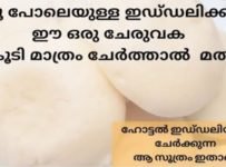 പഞ്ഞികെട്ടു പോലെയുള്ള സോഫ്റ്റ് ഇഡ്ഡ്ലി ഉണ്ടാക്കി നോക്കൂ.