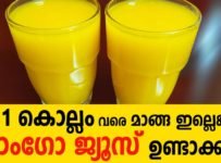 ഇനി ഒരു കൊല്ലം വരെ മാങ്ങ ഇല്ലെങ്കിലും mango ജ്യൂസ്‌ ഉണ്ടാക്കാം ഇങ്ങനെ ചെയ്താൽ.