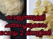 വെളുത്തുള്ളി ചതച്ചെടുക്കാം വെറും  2 മിനുറ്റിൽ