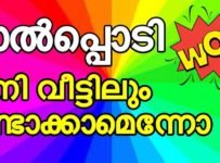 പാൽപ്പൊടി വീട്ടിൽ ഈസി ആയി ഉണ്ടാക്കാം