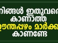 നിങ്ങൾ ഇതുവരെ കാണാത്ത ഈന്തപ്പഴം മാർക്കറ്റ് കാണണ്ടേ