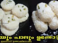 റവയും പാലും ഉണ്ടെങ്കിൽ ഇപ്പോൾ തന്നെ ഉണ്ടാക്കു ഈ സ്വീറ്റ്