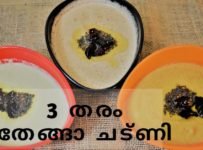 വെറും 5 മിനുട്ട് കൊണ്ട് ഉണ്ടാക്കാം ഇഡ്ലിക്കും ദോശക്കും ഒപ്പം കഴിക്കാൻ 3തരം തേങ്ങാ ചട്ണി
