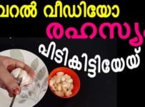 സോഷ്യൽ മീഡിയയിൽ വൈറൽ ആയി കൊണ്ടിരിക്കുന്ന വെളുത്തുള്ളി തൊലി കളയുന്ന ട്രിക്ക് ഇതാ.