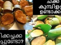 ഏറ്റവും എളുപ്പത്തിൽ ഒരു ചക്ക കുബിളപ്പം ഉണ്ടാക്കിയാലോ?