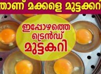 ഇതാണ് മക്കളെ മുട്ട കറി, ഇപ്പോഴത്തെ ട്രെൻഡി മുട്ട കറി.