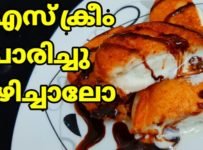 എപ്പോഴും ഐസ് ക്രീം ചുമ്മാ കഴിക്കാതെ ഒന്ന് പൊരിച്ചിട്ട് കഴിച്ചു നോക്കിയേ സൂപ്പർ ടേസ്റ്റ് ആണ് | FRIED ICE CREAM