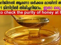 തേൻ ഒറിജിനൽ ആണോ ശർക്കര ലായിനി ആണോ എന്ന് ഒരുമിനിറ്റിൽ തിരിച്ചറിയാം ഇതാ ഒരു ട്രിക്ക്