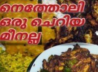 നെത്തോലി