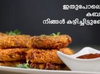 ഇത്രയ്ക്ക് രുചിയോടെ വ്യത്യസ്തമായ ഒരു കബാബ് നിങ്ങൾ കഴിച്ചു കാണില്ല. ട്രൈ ചെയ്തു നോക്കൂ..