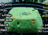 ചോറും വീട്ടിൽ സ്ഥിരമായി ഉപയോഗിക്കുന്ന 3 ചേരുവയും ചേർത്താൽ ഒരു അടിപൊളി പുഡിങ് റെഡി
