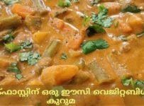 ഇത്രയും ടേസ്റ്റോടെ നിങ്ങൾ വെജിറ്റബിൾ കറി കഴിച്ചിട്ടുണ്ടാവില്ല