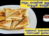 ഒരുപാട് തരം സാൻവിച്ചുകൾ നിങ്ങൾ കഴിച്ചിട്ടുണ്ടാവും വെറും 2മിനുട്ടിൽ തയ്യാറാക്കി എടക്കാവുന്ന വളരെ ടേസ്റ്റിയായിട്ടുള്ള ഈ ഒരു മസാല വെച്ച് ഇങ്ങനെ ഒരു സാൻഡ്വിച്ച് ഉണ്ടാക്കിനോക്കൂ… എത്ര കഴിച്ചാലും മതി വരാത്ത ടേസ്റ്റ് ആയിരിക്കുമെന്ന് ഉറപ്പ് പറയാം….