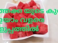 വത്തക്കയുടെ കുരു കളയാൻ ഒരു എളുപ്പവഴി….നല്ല മധുരവും റെഡ് കളറും ഉള്ള വത്തക്ക നമുക്ക് എങ്ങനെ തിരഞ്ഞെടുക്കാം