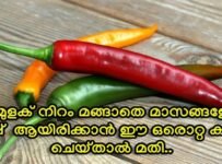 ഇത് കാണാനെടുത്ത സമയം വെറുതെ ആവില്ല 100% ഉറപ്പ് ||ഇനി പച്ചമുളക് ചീത്തയാവാതെ സൂക്ഷിക്കാം
