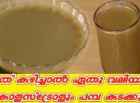 ഹെൽത്തിയായ ഈ ജ്യൂസ് എന്നും ഉണ്ടാക്കി കുടിക്കൂ നെല്ലിക്ക ജ്യൂസ്