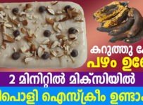 കറുത്തു പോയ പഴം ഉണ്ടോ? 2 മിനിറ്റിൽ മിക്സിയിൽ അടിപൊളി ഐസ് ക്രീം ഉണ്ടാക്കാം.