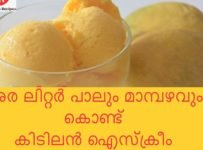 അര ലിറ്റർ പാലും മാമ്പഴവും കൊണ്ട് കിടിലൻ മാങ്ങ ഐസ് ക്രീം