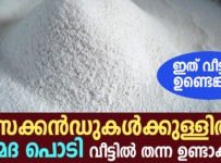 ഇത് വീട്ടിൽ ഉണ്ടെങ്കിൽ മൈദ പൊടി സെക്കൻഡ് കൾ ക്കുള്ളിൽ തന്ന ഉണ്ടാക്കാം