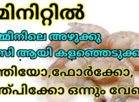കൈ കൊണ്ട് തന്നെ വളരെ ഈസി ആയി ചെമ്മീനിലെ അഴുക്ക് കളയാം ഒരു ടൂളും വേണ്ട