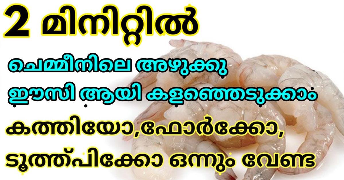 ചെമ്മീനിലെ അഴുക്ക്