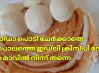 സോഡാ പൊടി ചേർക്കാതെ സോഫ്റ്റ് ഇഡലിയും ക്രിസ്പി ദോശയും ഉണ്ടാക്കി നോക്കൂ.